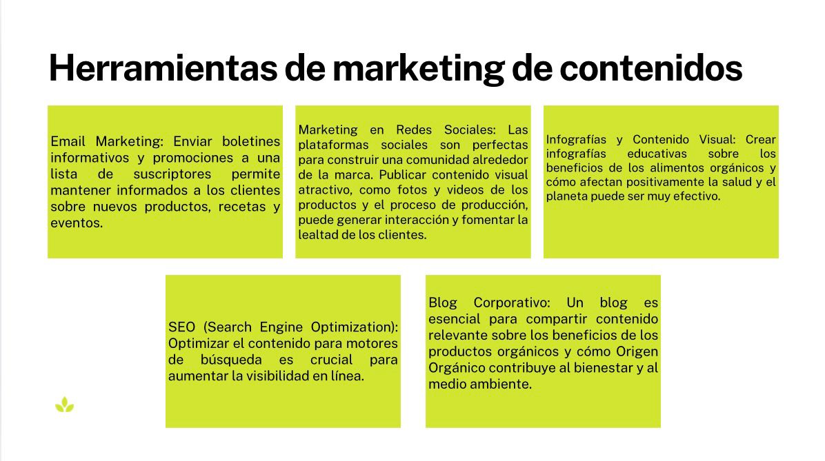 Content calendar developed for the brand